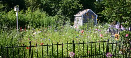 ProvGardener is Tending a Garden the Size of Rhode Island