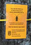 ALB Tree Tag