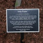 2007 Liberty Tree Plaque (now stolen) at Roger Williams National Memorial